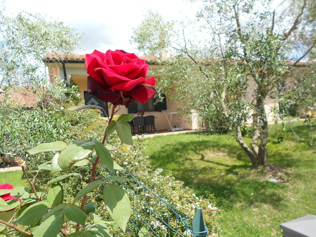 Poggio Degli Olivi Vendégház Saturnia Kültér fotó
