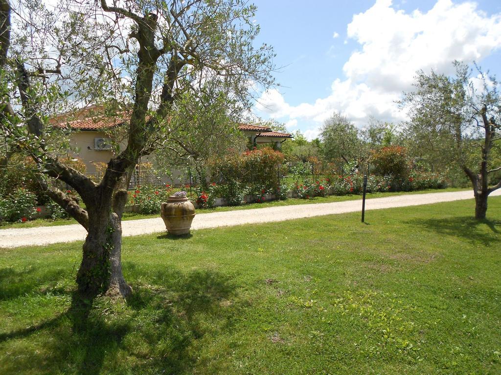 Poggio Degli Olivi Vendégház Saturnia Kültér fotó