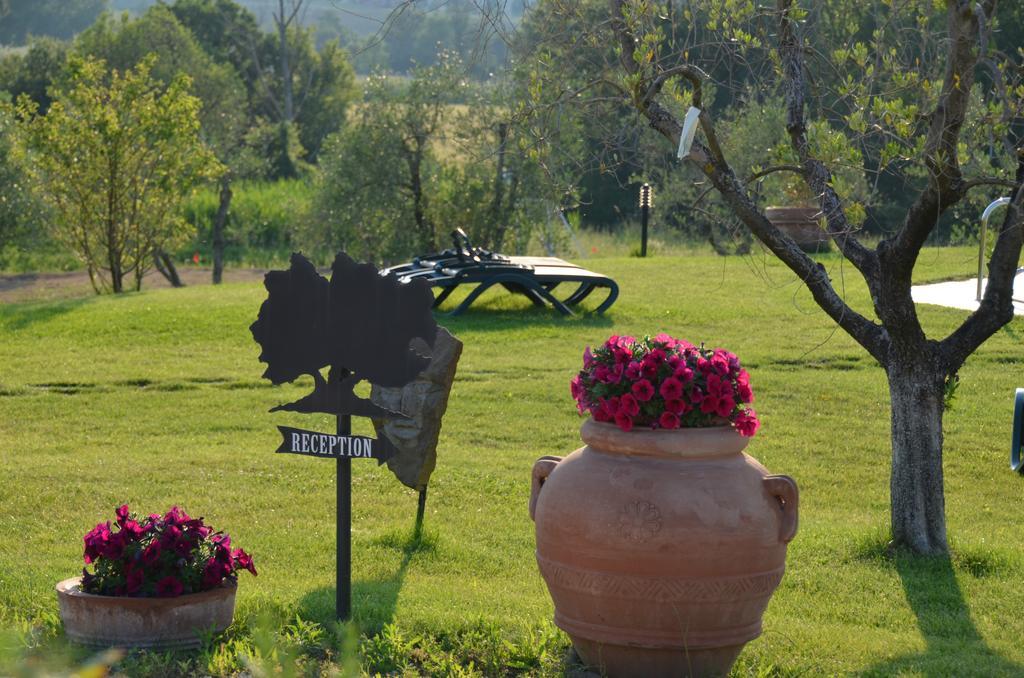 Poggio Degli Olivi Vendégház Saturnia Kültér fotó