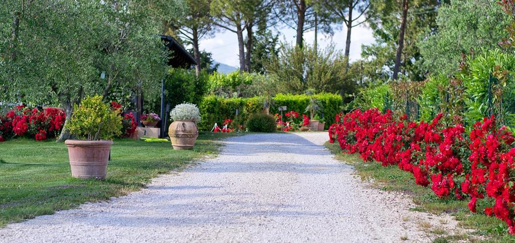 Poggio Degli Olivi Vendégház Saturnia Kültér fotó